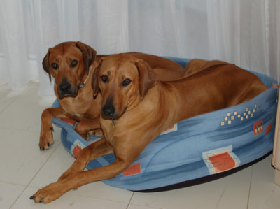 Schwestern_0010__8530.jpg