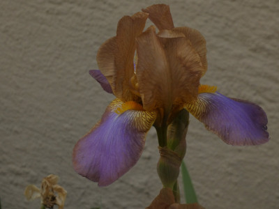 P1080569.JPG