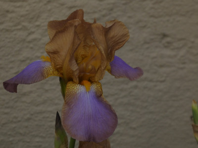P1080562.JPG