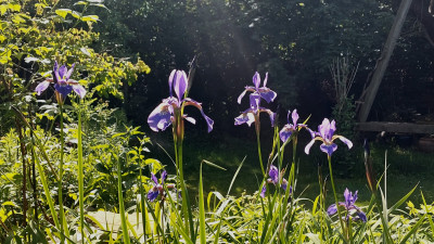 20260524_102801.jpg
