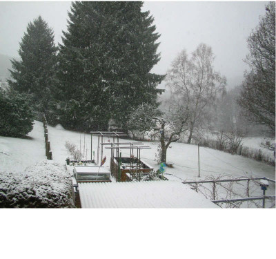 Schnee_19.01.09.jpg