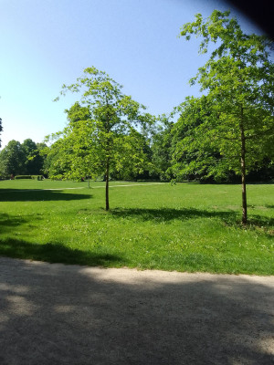 Vollmarpark