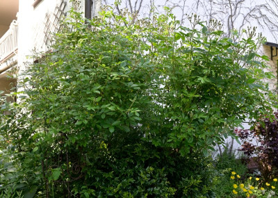 GdF-Mai2526_002_03.JPG