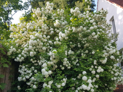 20260519_183448.jpeg