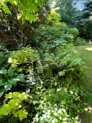 IMG_3112.jpeg