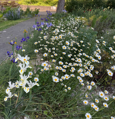 IMG_9221.jpeg