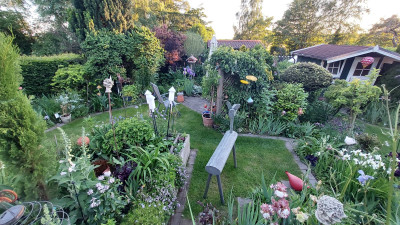 Blick in einen Teil des Gartens