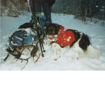 Dickie_Sherpa.jpg