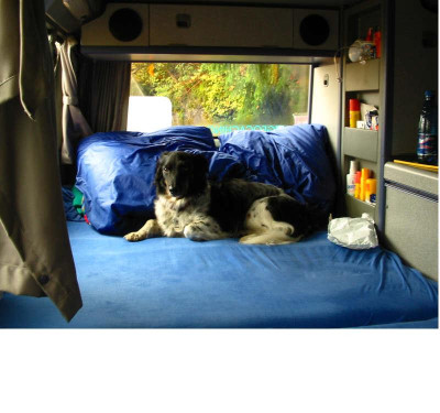 Dickie_rollende_Hundehutte_1.jpg
