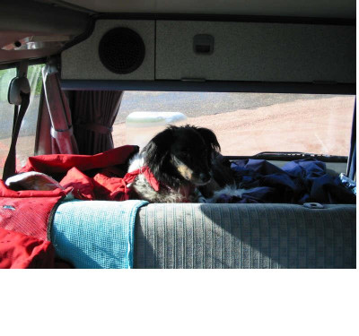 Dickie_rollende_Hundehutte_2.jpg
