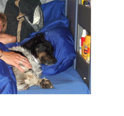 Dickie_rollende_Hundehutte_3.jpg