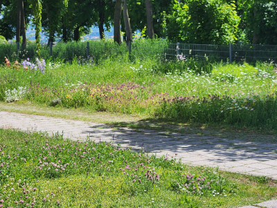 20260526_125615.jpg
