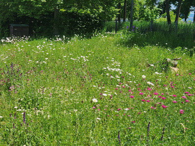 20260526_125520.jpg