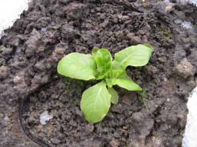 K640_IMG_0192.JPG