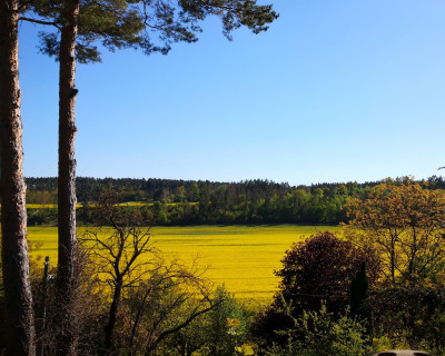 IMG_20260501_164943 Ausblick.jpg