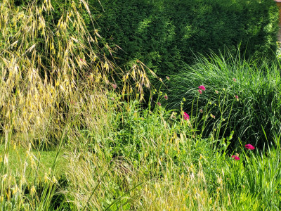 20260528_091555.jpg