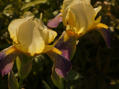 P1080525.JPG