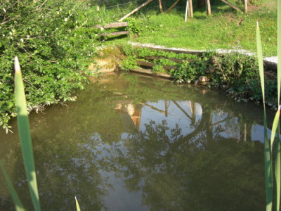 CIMG3397_1_1_1.JPG