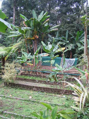 ganesh_nursery_03.jpg
