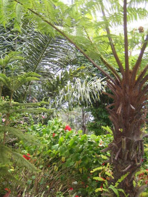 ganesh_nursery_05.jpg