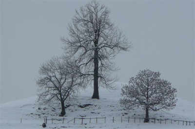 21.01.2009.40.JPG
