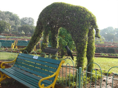 topiary_bombay_03.jpg