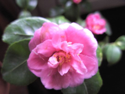 BILD7989.JPG