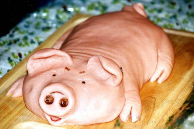 Marzipan_Schwein001.jpg