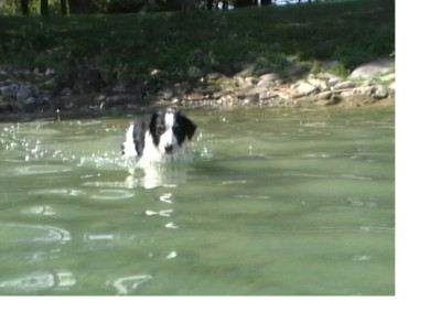 Beska_im_Bodensee4.jpg