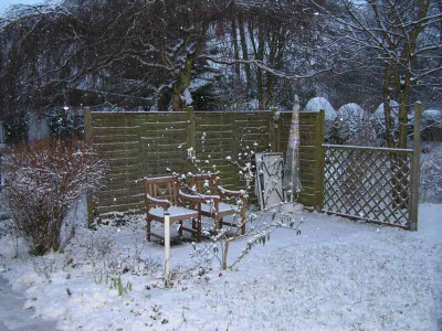 schnee230109.jpg