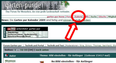 Galerie_pur.jpg