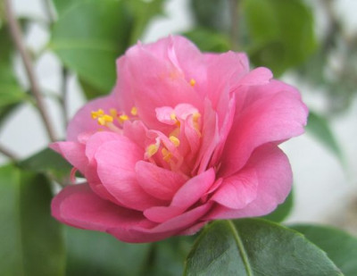 BILD8011.JPG
