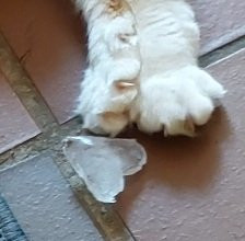 Lecker kalt!
