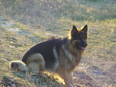 DSC04876.JPG
