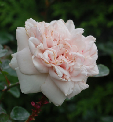 Probuzeni_0010__S2_34810.jpg