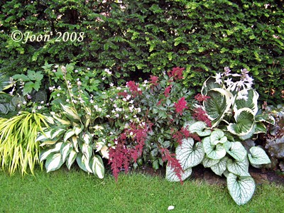 23.07.08.JPG