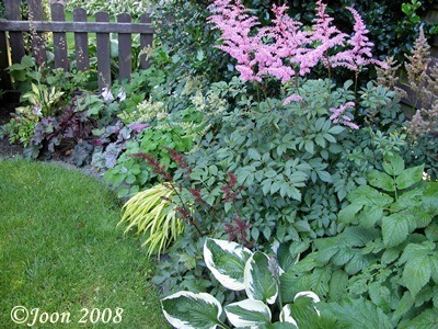 DSCN0059.jpg