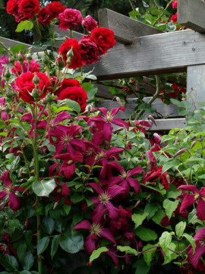 12.6.2008_16-24-37_0213.jpg