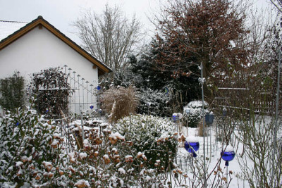Winter2508a.jpg