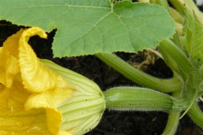 27.05.2009.50.JPG