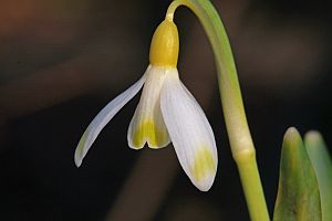 eccuson-d-or__2714.jpg