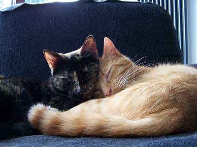 Balthi-und-Fritzi.jpg