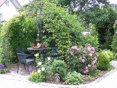 IMG_8992.JPG