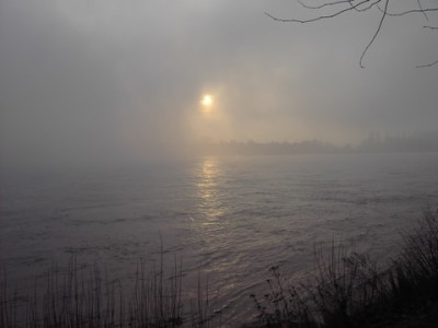 Nebel_am_Rhein.jpg