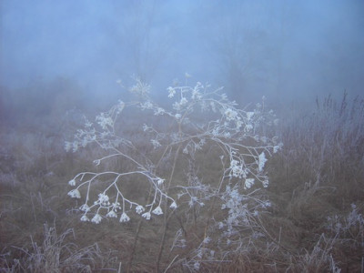 PICT1496.jpg