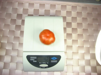 08calabacito_rojo29klein.jpg