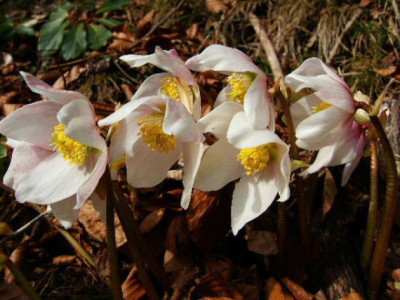 DSCF1201.JPG