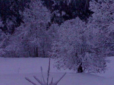 K640_03022009466.JPG
