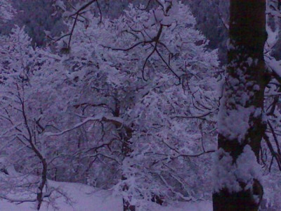 K640_03022009469.JPG