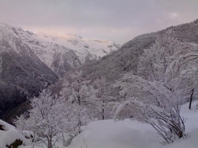 K640_03022009470.JPG
